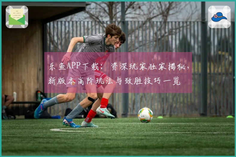 乐鱼APP下载：资深玩家独家揭秘，新版本高阶玩法与致胜技巧一览